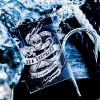 Sea Shepherd Playing Cards