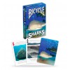 Bicycle Sharks